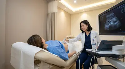 Bladder and ureters ultrasound evaluation